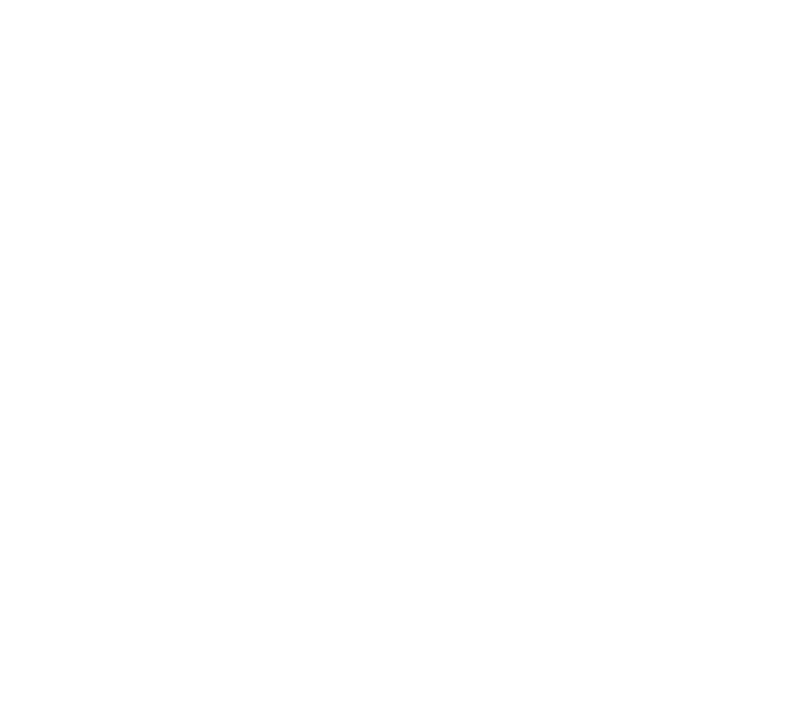 rocksteadybuilders-logo lt 1